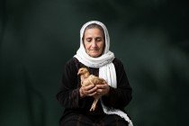 غزة: كيف اختفت الدواجن؟