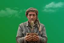 الزراعة كملاذ: نعناع ينبت وسط النزاع