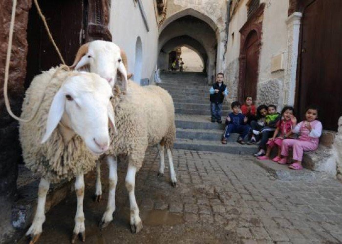 فضل العشر الأوائل من ذي الحجة 1446 وأفضل الأعمال فيها