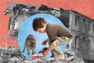 عن جوع لم يُفرِّق بين الإنسانٍ والقطط