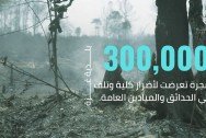 المدينة الرمادية