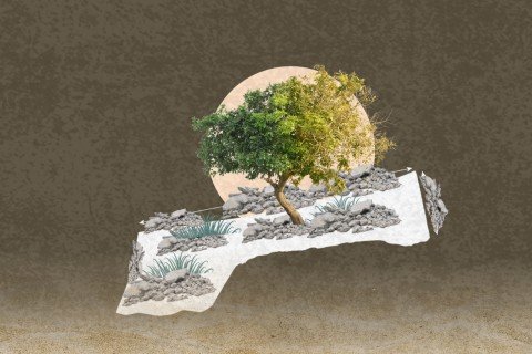 هذا ما جناه الناس: نصف إنتاج غزة الزراعي اختفى