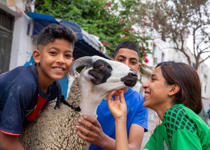 أفضل وقت لذبح الأضحية.. كيف تختار الوقت المناسب؟