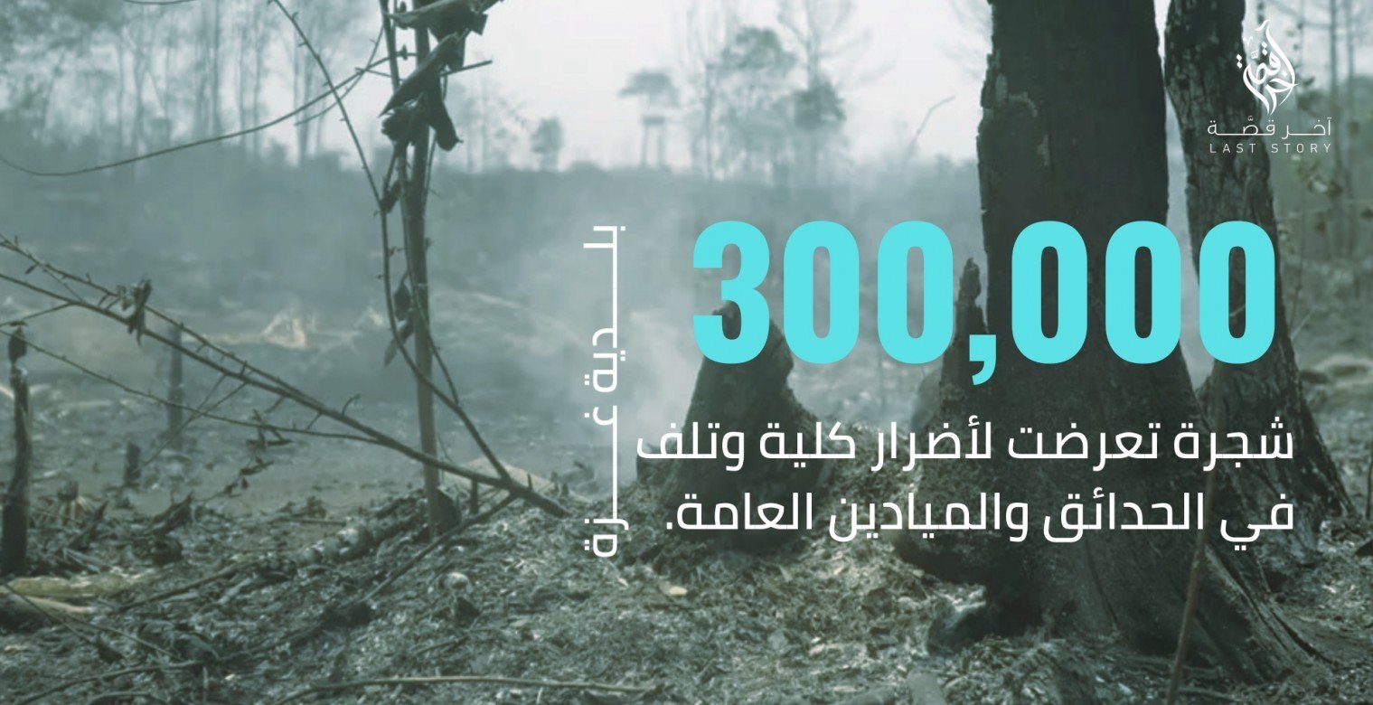 المدينة الرمادية