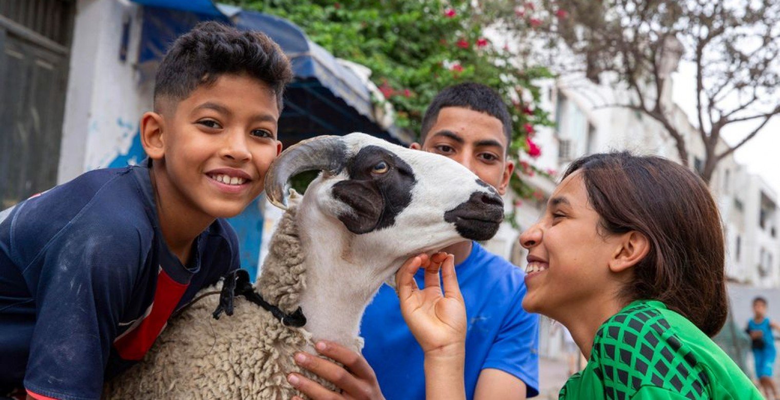 أفضل وقت لذبح الأضحية.. كيف تختار الوقت المناسب؟