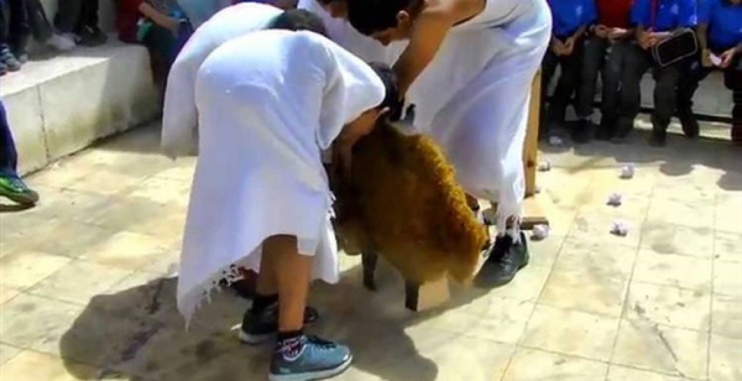 ما هو النحر في الحج؟ كل ما تحتاج معرفته عن ذبح الهدي في يوم العيد