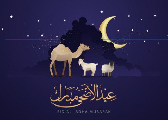 عيد الأضحى في الحرب.. كيف يستقبل أهالي غزة العيد بلا أضاحي؟