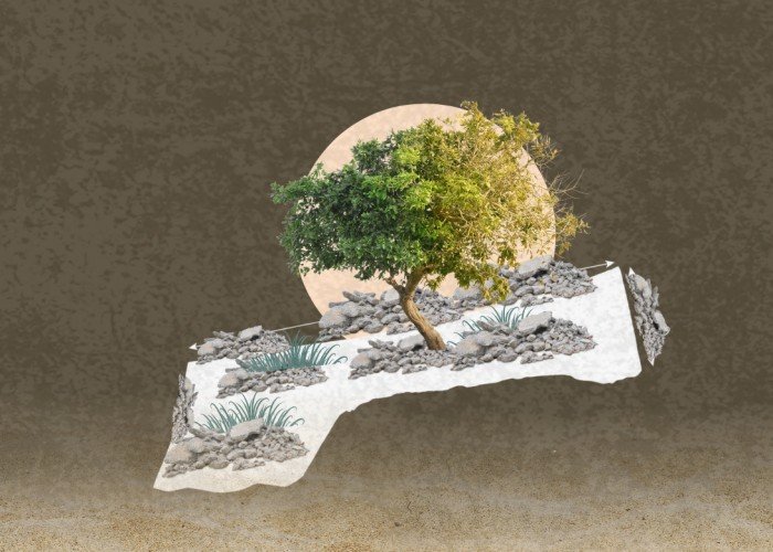 هذا ما جناه الناس: نصف إنتاج غزة الزراعي اختفى